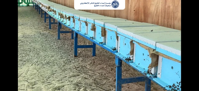 بيئة الشرقية تطلق شراكة بيئية مستدامة مع أرامكو السعودية لإنتاج عسل المانجروف وحماية السواحل الشرقية