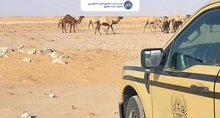 «الأمن البيئي» تضبط مواطنًا لارتكابه مخالفة رعي في محمية الملك عبدالعزيز الملكية