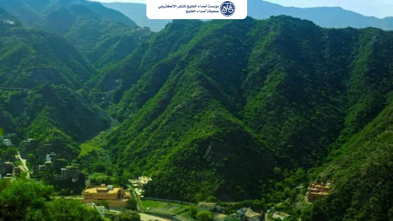 النماص.. وجهة صيفية تتدفق بالجمال وتجذب الزائرين بالأجواء المعتدلة
