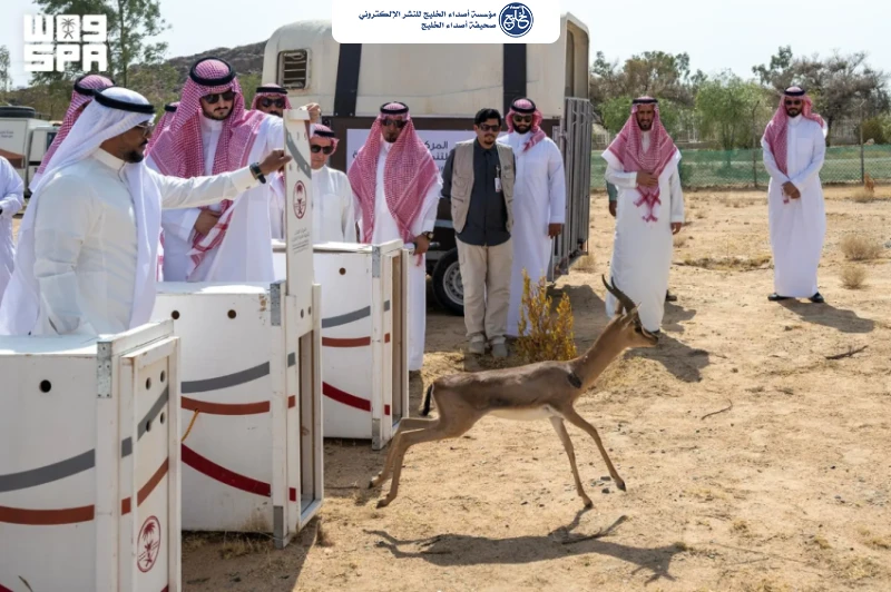 مُحافظ الطائف يطلق كائنات فطرية لتعزيز التنوع الأحيائي بمتنزه سيسد الوطني