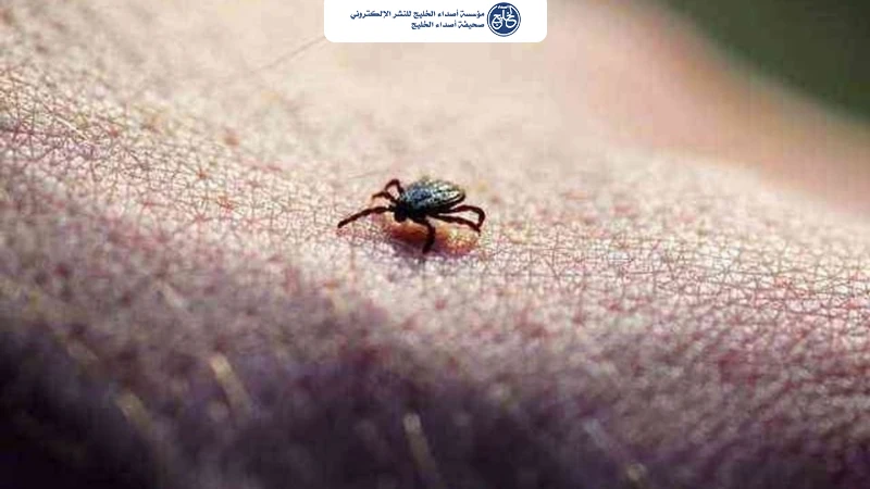علماء في الصين يكتشفون فيروساً جديداً ينقله القراد يسبب أعراضاً شبيهة بالإنفلونزا