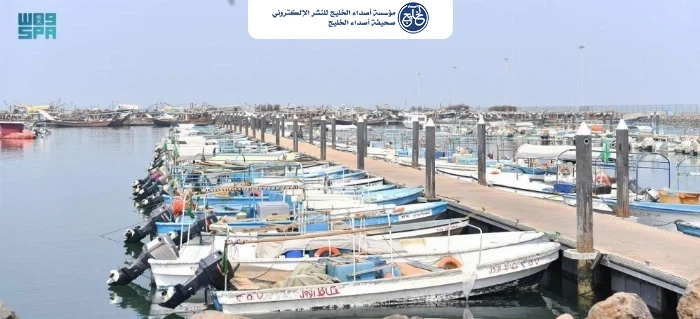 "النقل" تمهل ملاك القوارب المتوقفة بجازان شهراً قبل إزالتها