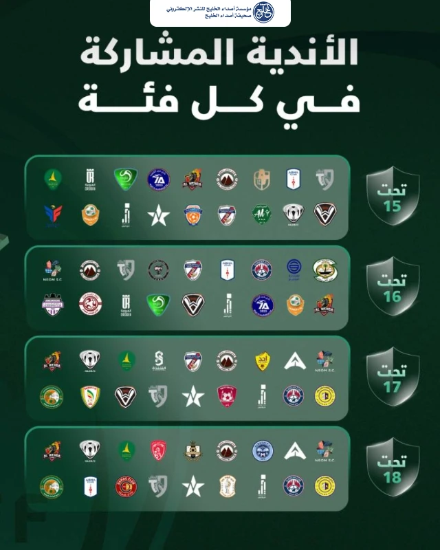 دوريات الفئات السنية للدرجة الأولى.. 12 بطاقة صعود نحو الممتاز
